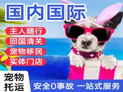 珠海航空货运国际宠物托运 【国